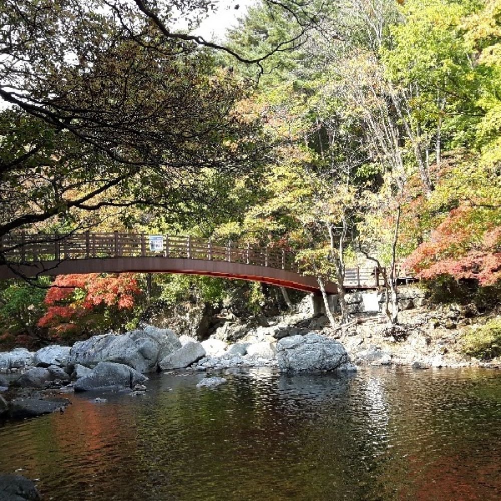 주변보기